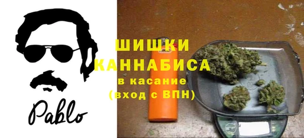 прущие грибы Карталы