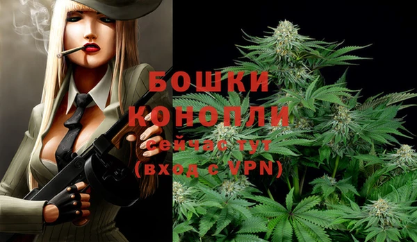 прущие грибы Карталы
