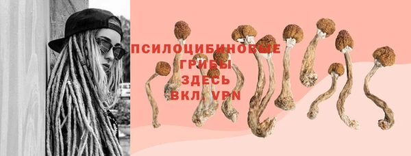 COCAINE Карпинск