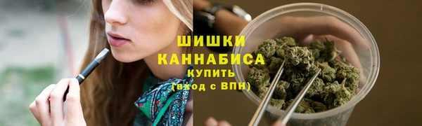 прущие грибы Карталы