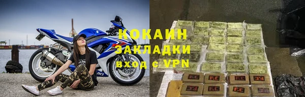 прущие грибы Карталы