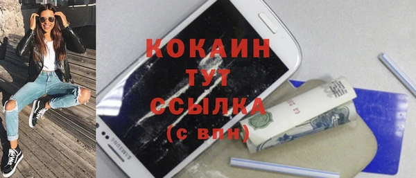 прущие грибы Карталы