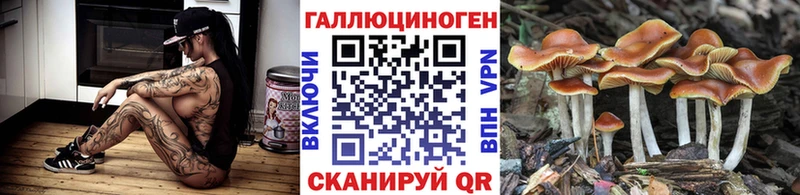 Купить  Армянск  Псилоцибиновые грибы Cubensis 